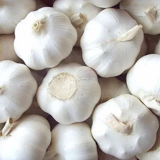 Китай/китайский свежий чеснок оптом, Обычный белый для оптовой продажи, 2021 новый урожай, свежий чеснок, экспортеры