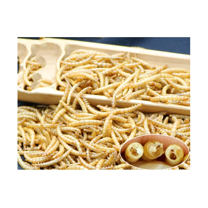  Сохнущий протеин для пищевых продуктов mealworm