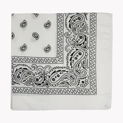 Wholesale Classic Multifunction 54x54cm  Printed Cycling Neck Head Paisley Polyester Bandana for Men