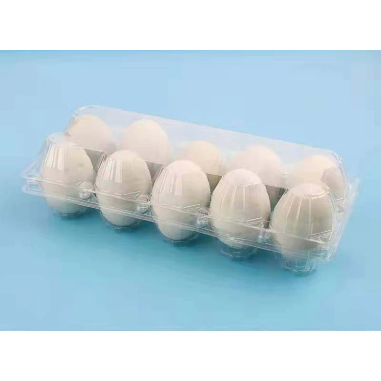 10 Holes PVC PET Transparent Rectangular Plastic Blister Egg Carton Tray Packaging Quail Egg
