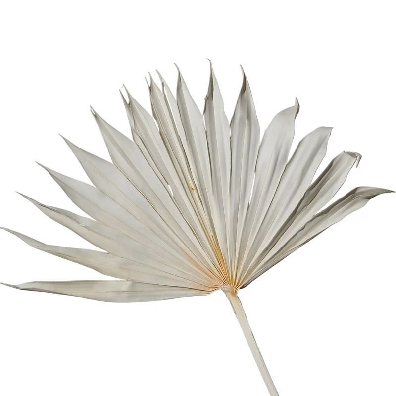 Decoration Flower Artificial Dried Flowers Small Palm Tree Leaves Mini Sun Palm Leaf