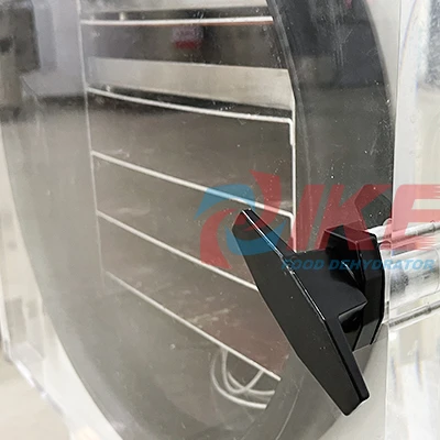 IKE Freeze dry fruit liofilization machine freeze dryer dry machine