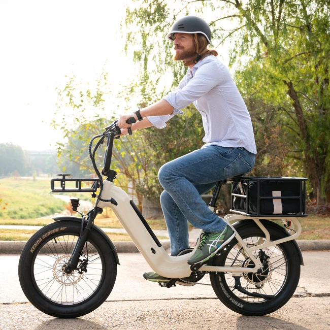 OEM chopper vintage electric dirt bike 500w 1000w powerful mountain e-bike lithium battery 15Ah 20Ah electric bicycle