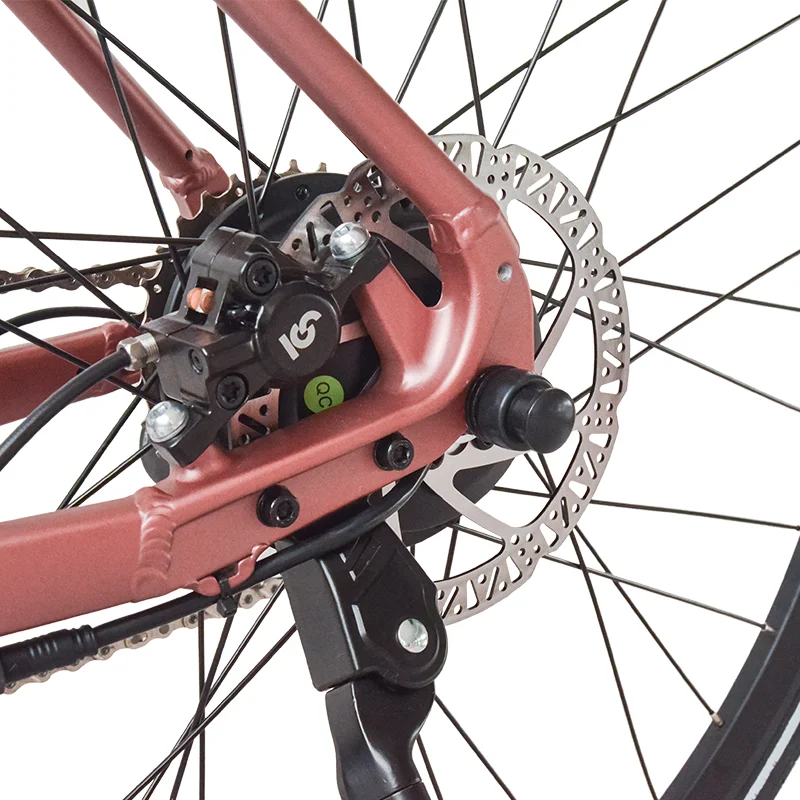 Powerful 250W Bafang Motor Electric Road Bicycle 36V Rear Hub 700c Aluminum Frame Tube Lithium Battery 100km Range Per Charge