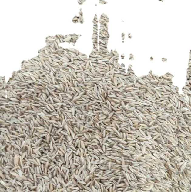 Не в гранулах, высокая прорастаемость, чистые семена цинодона dactylon для продажи