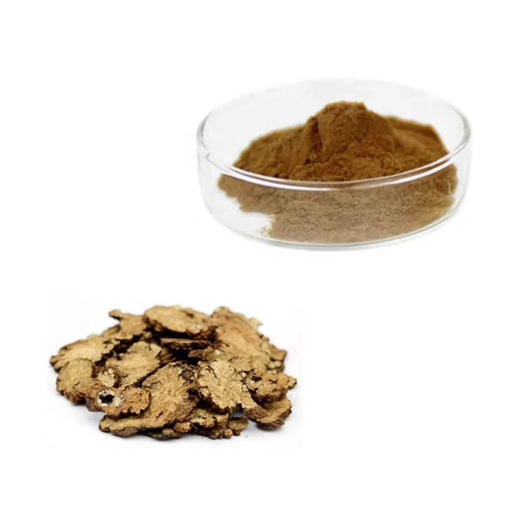 High Quality Natural Ligusticum/Chuan Xiong Extract Powder in Bulk