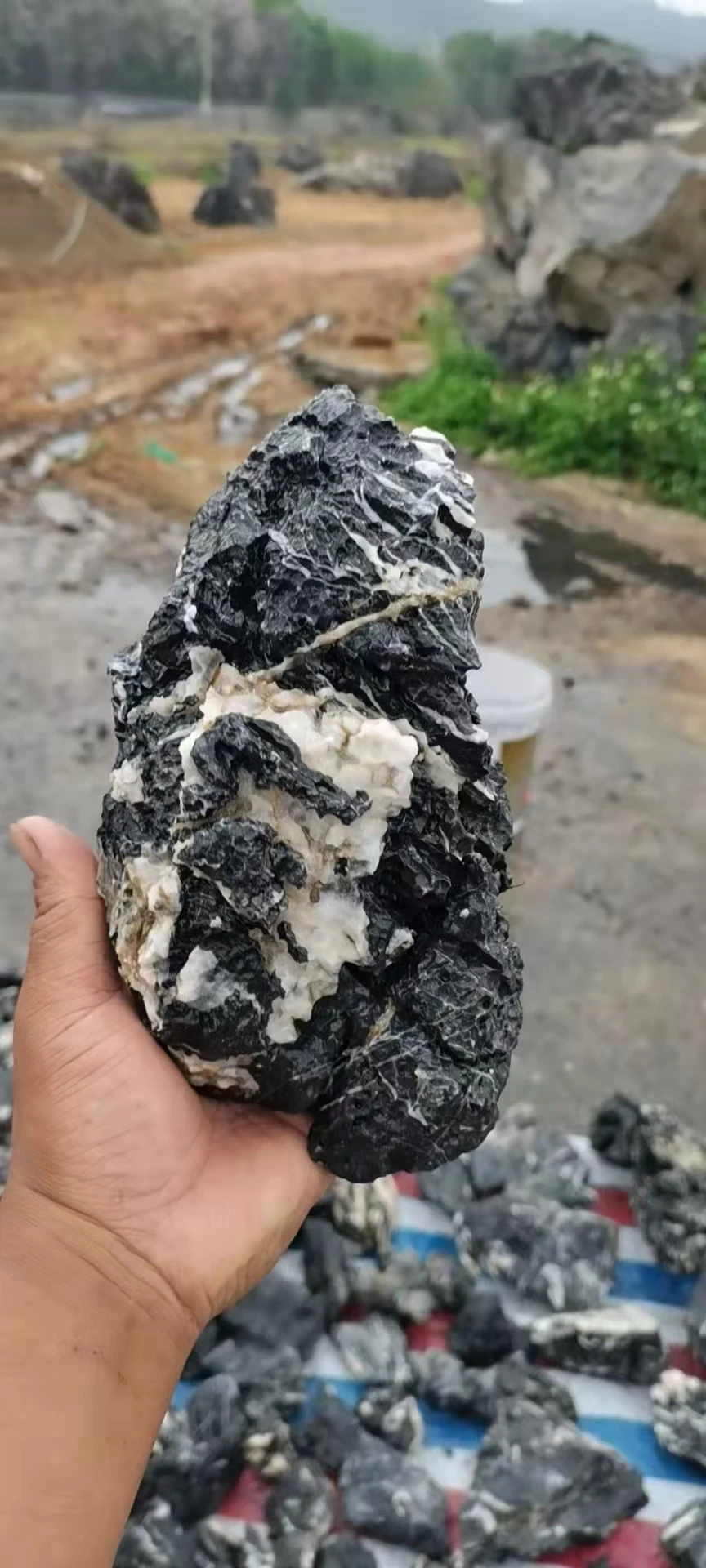 Acid Wash Decorative Dragon Rocks Seiryu Stones Natural raw ohko dragon stone for fish tank landscaping