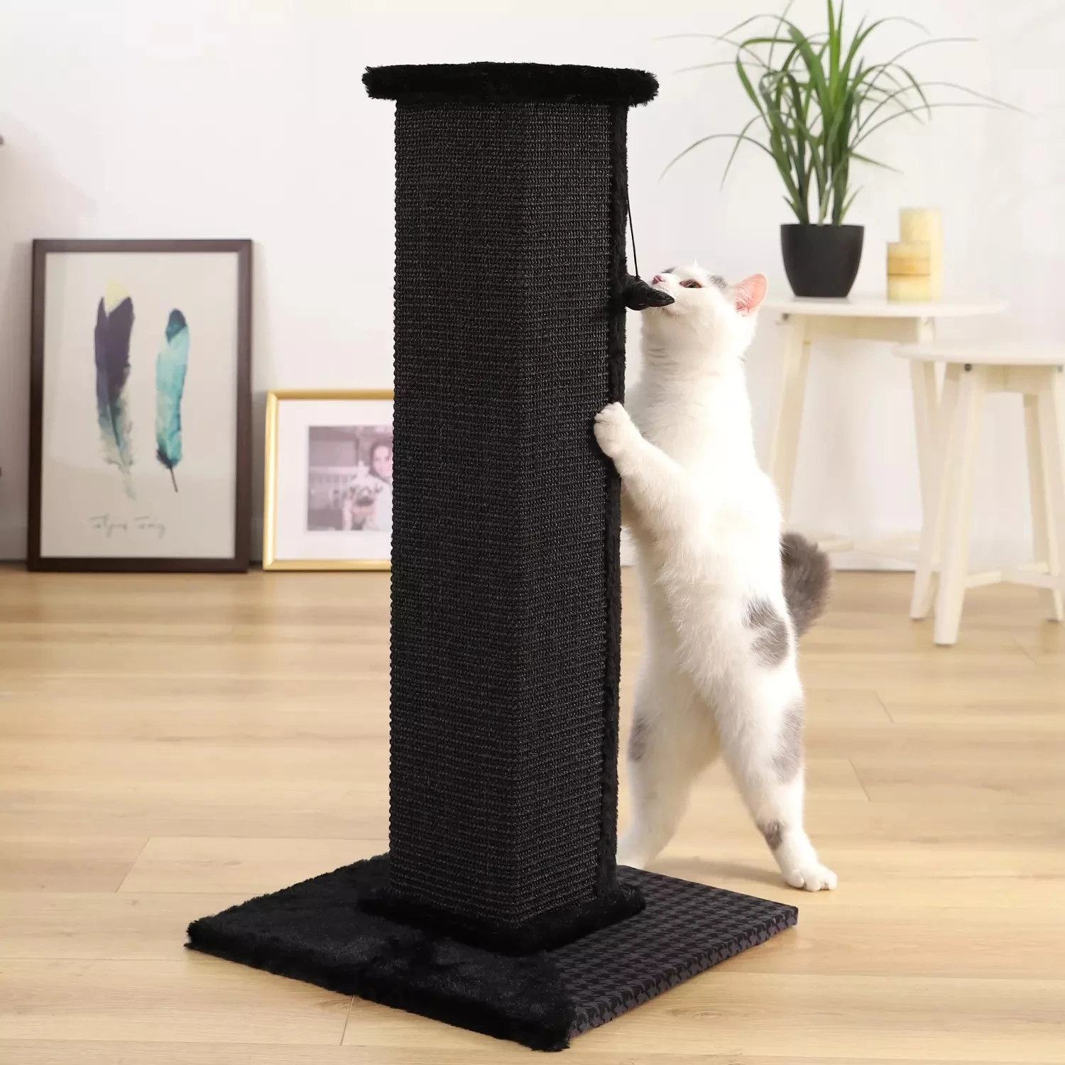 Когтеточка для кошек Ultimate Black Cat Post и котят в помещении