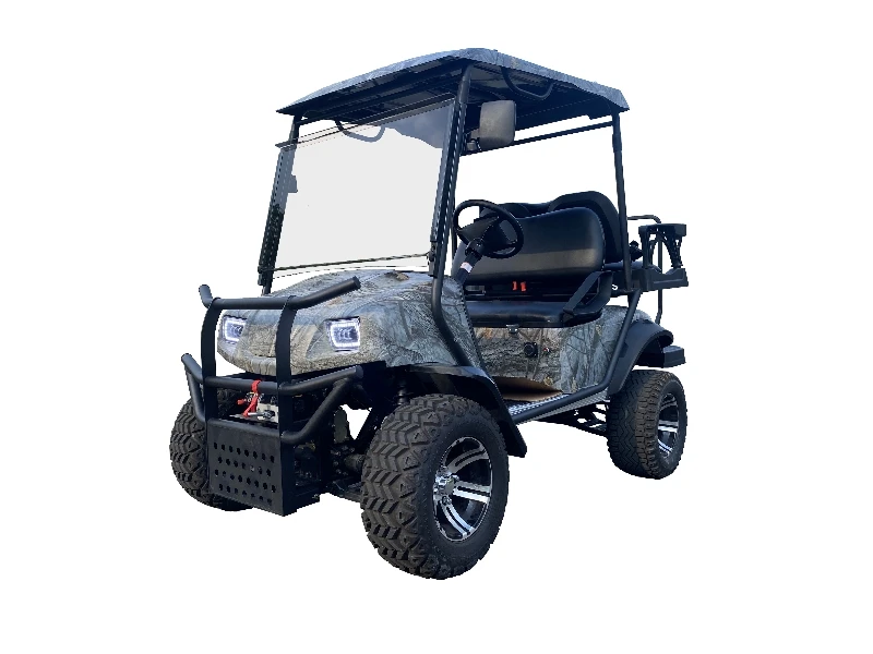 Affordable 2 Seater Mini Sightseeing Car Electric Golf Car