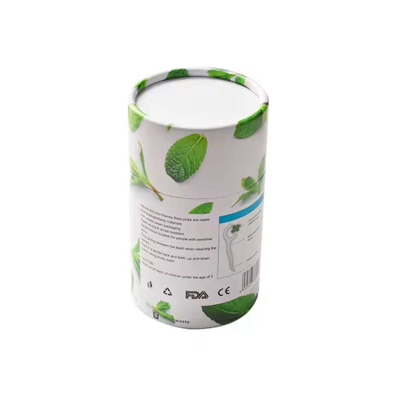 New Eco-friendly Biodegradable Zero Waste Mint Flavor Dental Floss Picks Waxed Bamboo and Nylon for Teeth Cleaning Oral Care