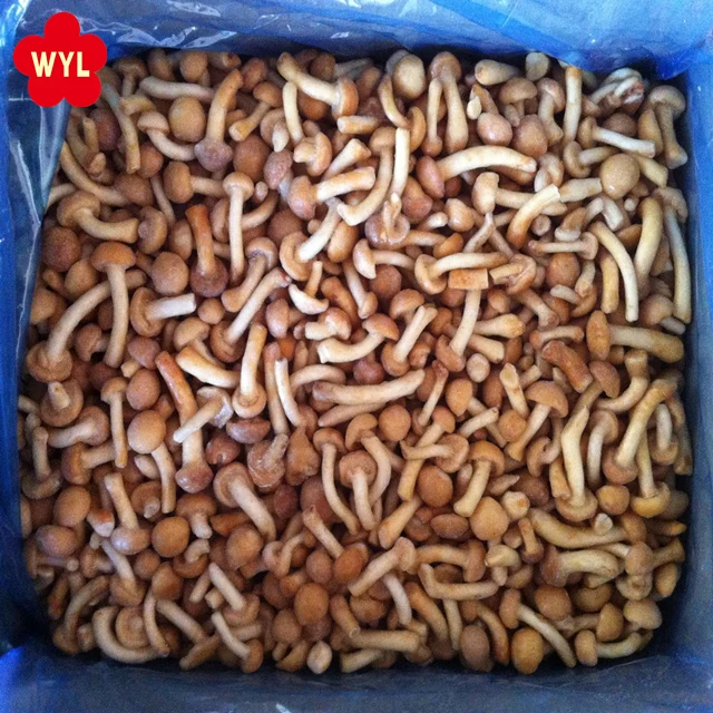 Новый сезон замороженных грибов nameko