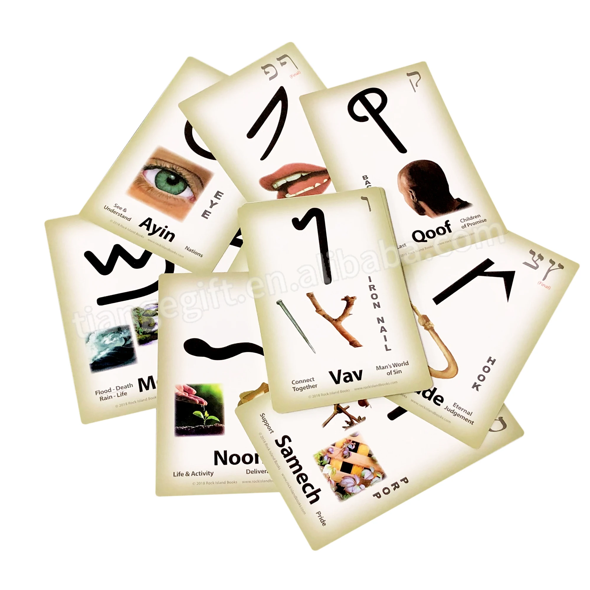 Custom Printing Preschool Flash Cards/Cognitive Cards For Kids Educational FlashCards