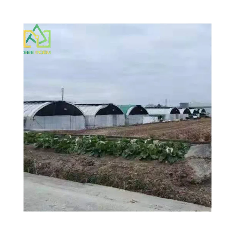 Seepoem farm Mushroom growing greenhouses commercial light dep hoop house