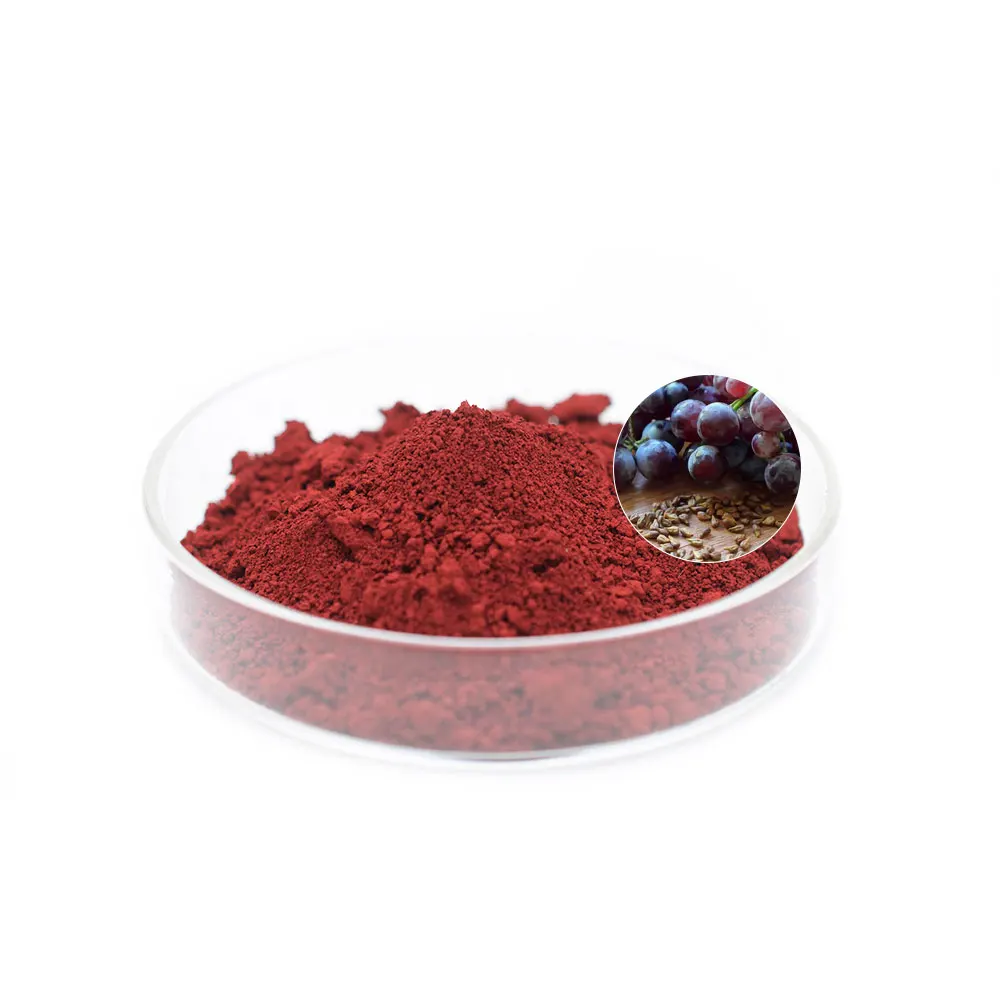 High Purity Organic Grape Seed Extract Powder Herbal Extract Vitis Vinifera (grape) Seed Extract