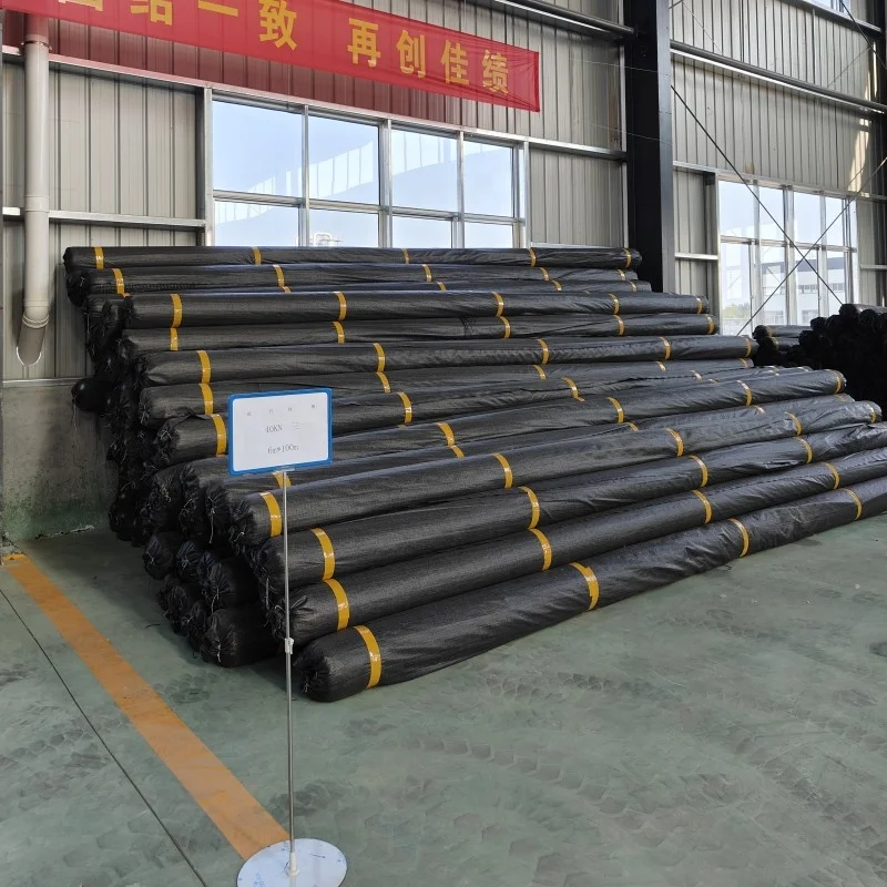 High Quality Fiber Glass  Geogrid for Road Construction Factory Price Plastic Soft Black Horizontal Packing Color Origin