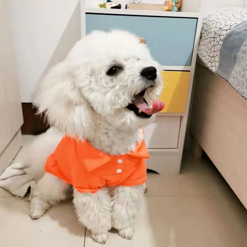 Wholesale Pet Clothes Spring Summer Dog Polo Shirt Candy Color Dog T-shirt for Small Medium Sized Pets