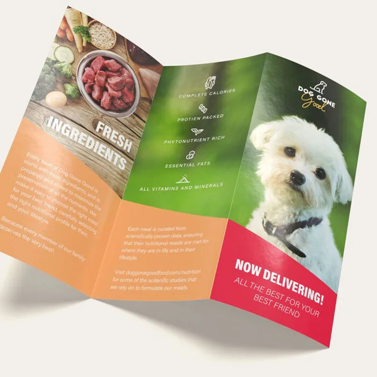 Factory Direct Sale Custom Printing Product Leaflet Flyer 3 Fold Leaflet Z Cards Brochure Printing