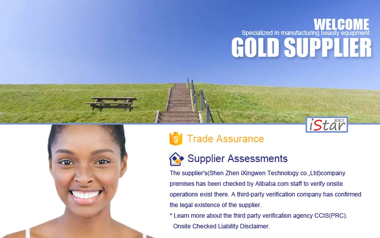 Low Cost High Quality in usa sale derma pen with two needles meso