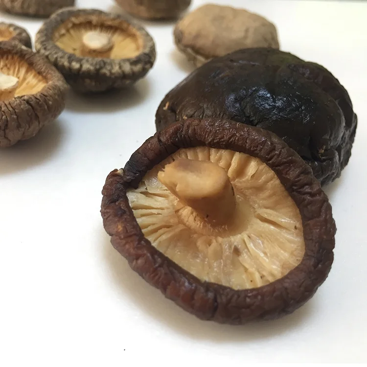 2019 Best Selling Bulk Mushrooms White Or Brown Dried Shiitake Mushroom