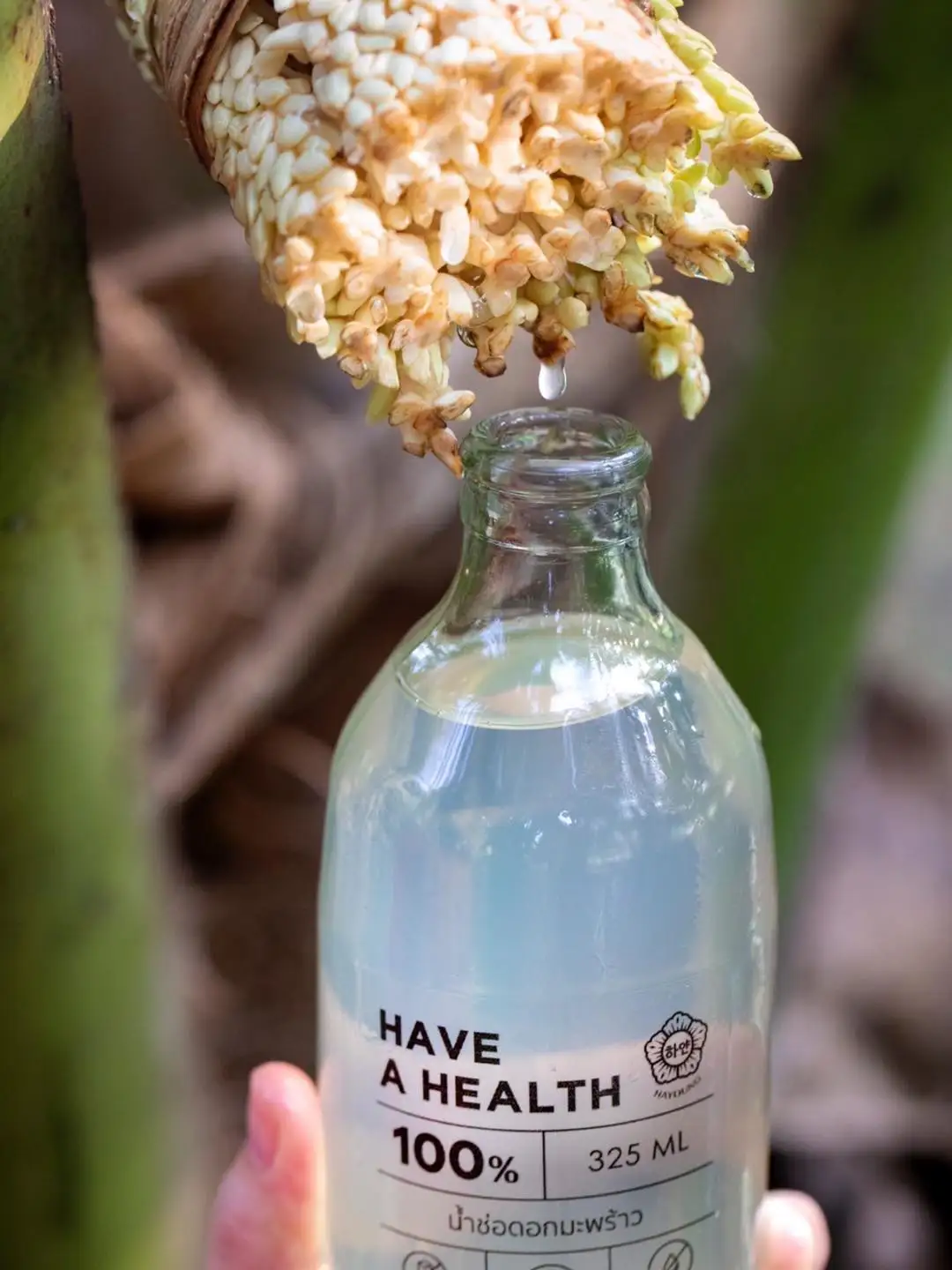 Ha Young Coconut Flower Water Drinks 100 % Natural Scent Delicious Original Taste & Healthy for All Ages Wholesale from Thailand