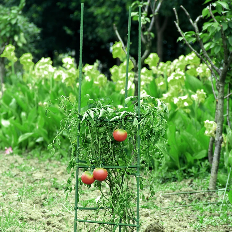 Factory Wholesale Collapsible Colorful Tomato Cage Collapsible for Garden Greenhouse