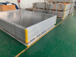 Airport Baggage Cargo Aviation Transport P1 PAG Pallet