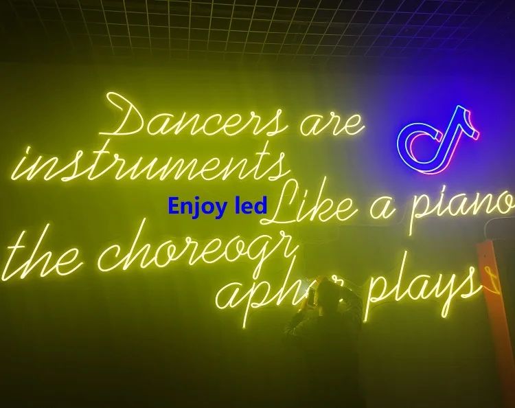 Shenzhen factory good price high quality waterproof 12V 24V silicone led neon flex light mini 6*13 rgb sign decoration