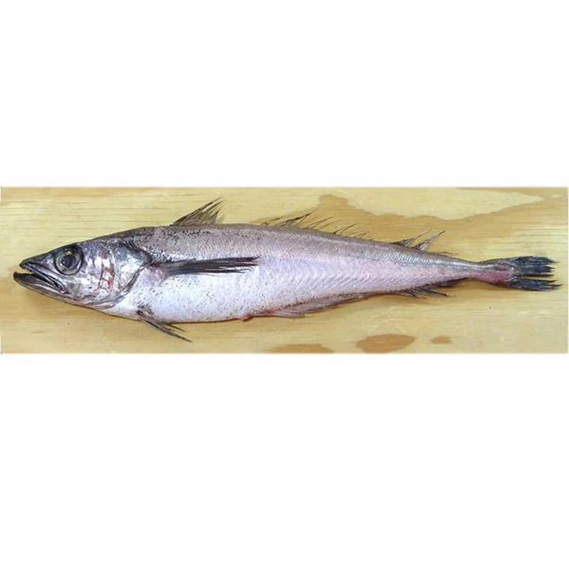 
 Высокое качество, заводской замороженный Тихоокеанский Hake HGT  