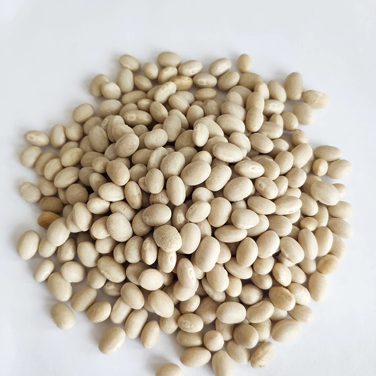 Wholesale Chinese Low Price White Navy Kidney Beans