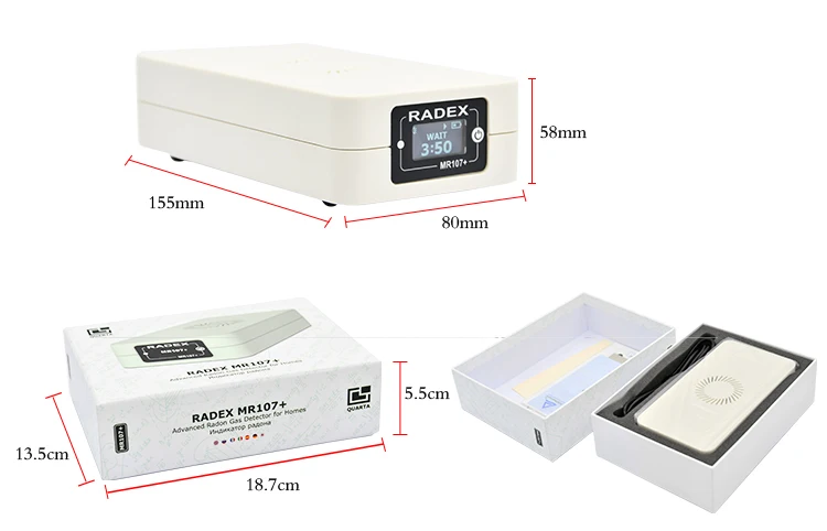 radon detector packaging