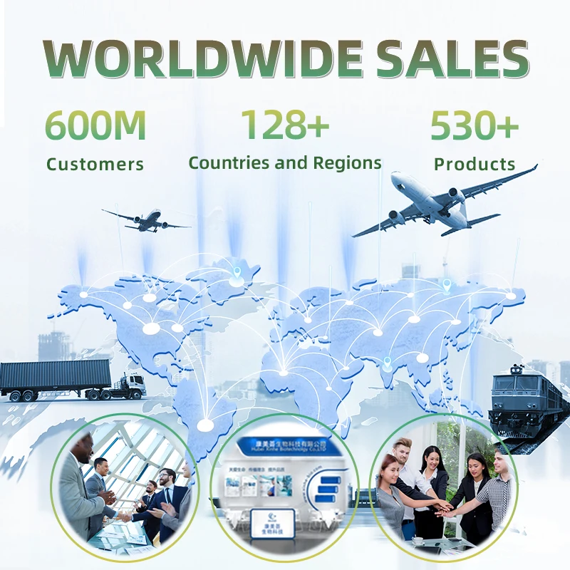 High Quality MACA Extreme Herbal Supplements Enhancing Sleep Quality and Aphrodisiac Effects for Couples