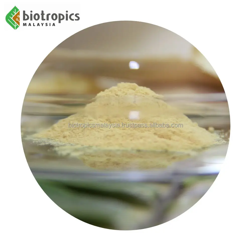 Halal Eurycoma Longifolia Extract Powder Food Ingredient Water Based Nutritious Tongkat Ali Root Extract Powder