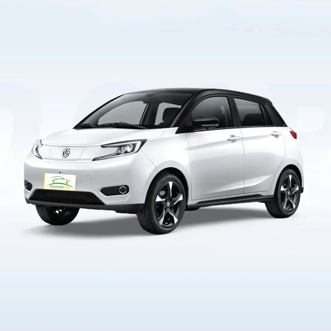 2023 model pure electric range 302km 5 door 4 seats 0.5h fast charge electric car YOUNG maximum speed 100km/h