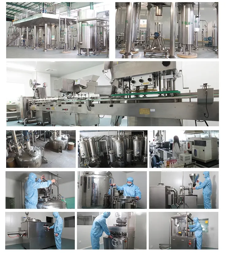 Herbal Capsule OEM Lions Mane Extract Nutritional Supplement Immune Support Mushroom Capsules  Brain Booster and Memory