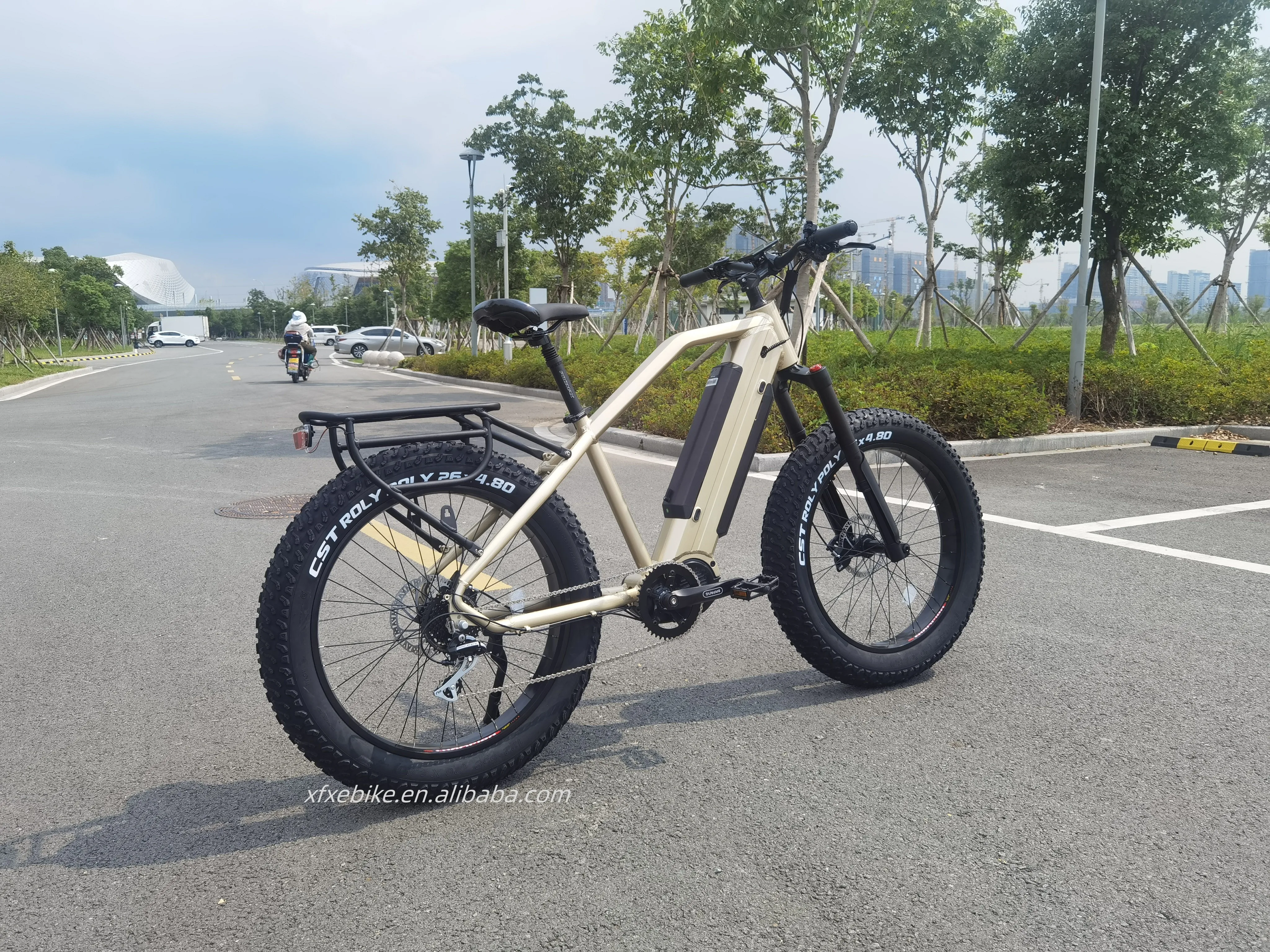 Mountain 26Inch'*4.8 CST Tires Dual 17.4Ah Hidden Battery 48V 1000W Bafang Mid Dive Motor Fat Tire Electric Bike
