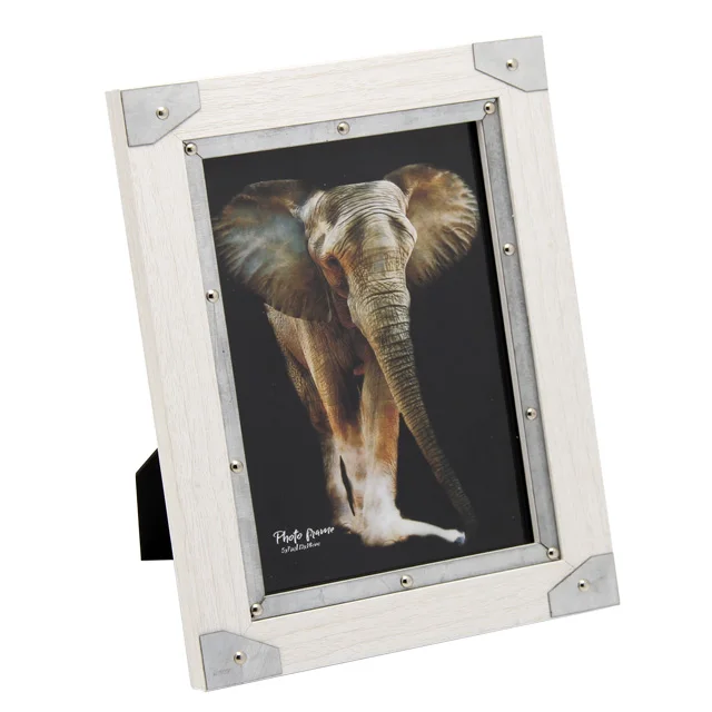 Fengyuan Picture Frame Photo Frame Aluminum Factory New Arrived Cool Animal Digital Printing For 5*7 A4 Inch 4 Color Black