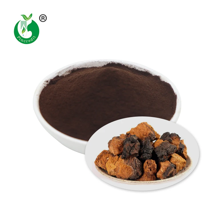 
Natural Chaga Mushroom Extract Polysaccharides 30% and Triterpene 1% 