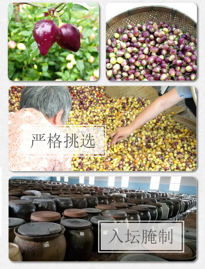 Guangxi from ZiLiangJia spicy sauce pickled colorful pepper hot and sour instant pickled pepper