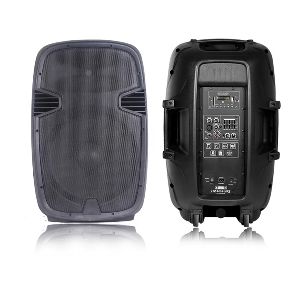 2020 Новый 15 дюйм перезаряжаемый напольный коробка диктора переносная активная акустическая система