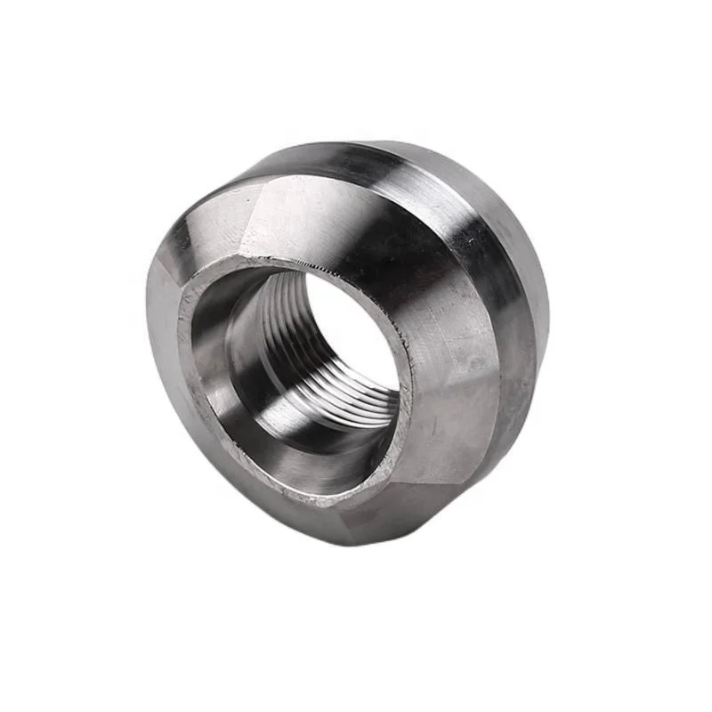 ASTM A403 WP317L Forged Stainless Steel Pipe Fittings Weldolet Sockolet Threadolet Lateralolet 317L round Head OEM Customizable