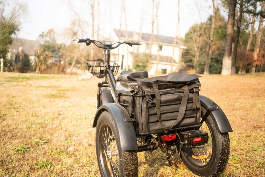 MEIGI High Quality Electric Tricycles 750W Fat Tires Electric Cargo Bike  Adults Electric 3 Wheel Bike For Adults