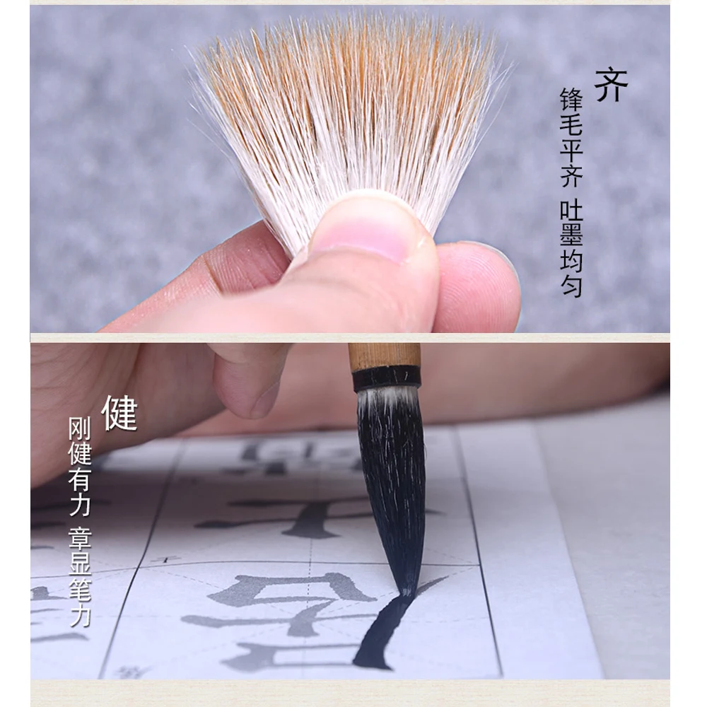 Tianjintang Handmade Traditional Chinese Calligraphy Mixed Hair Bamboo Brush Set for Practice Writing Ink Painting