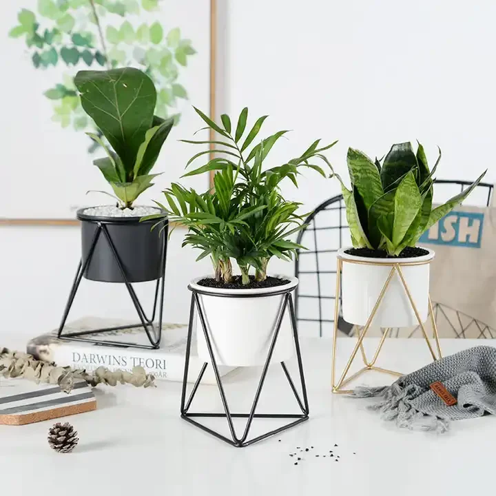 Ins Nordic Triangle Minimalist Succulent Iron Frame Round Ceramic Green Planter Geometric Flower Stand