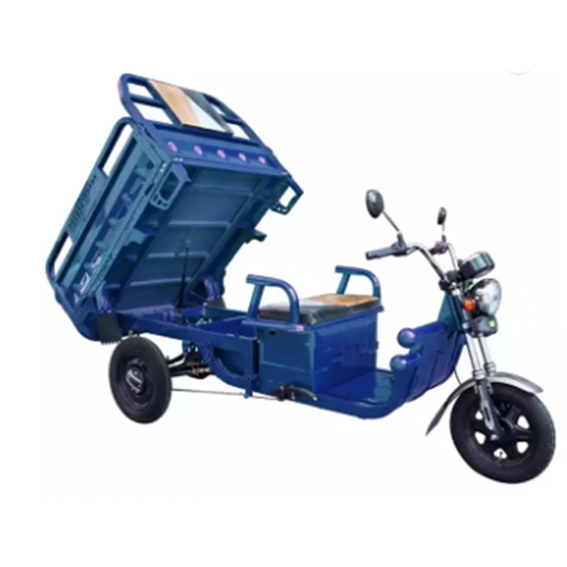 High quality Favorable Long Endurance Electric Tricycle cabin solar power elektrick with EEC solar powered electric tricycle
