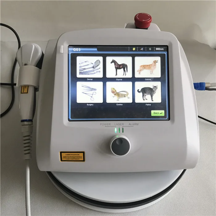 Class iv Laser Treatment Device For Joint Pain Relief/2024 high power 30w physiotherapy laser 980nm diode laser therapy device