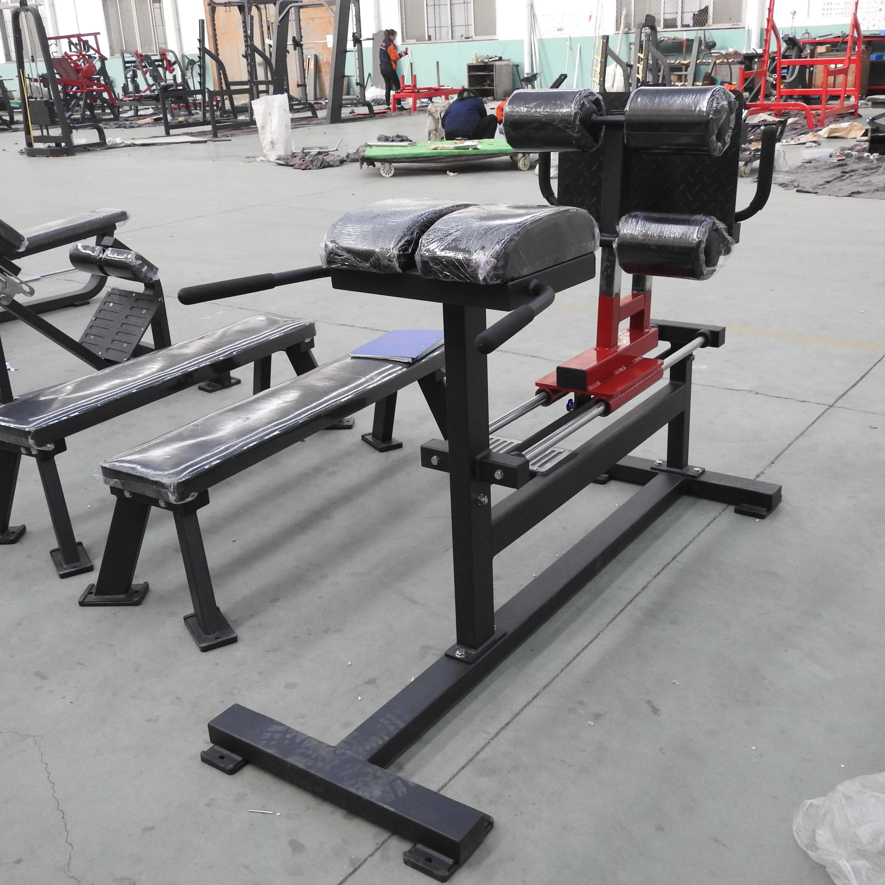 Commercial Fitness Equipment GHD roman bench glute machine