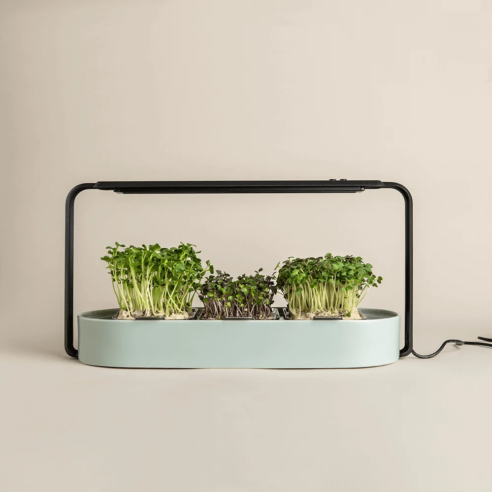 Hot selling microgreens growing system home use Sprouting hydroponic grow tent complete Starter Kit easy at home
