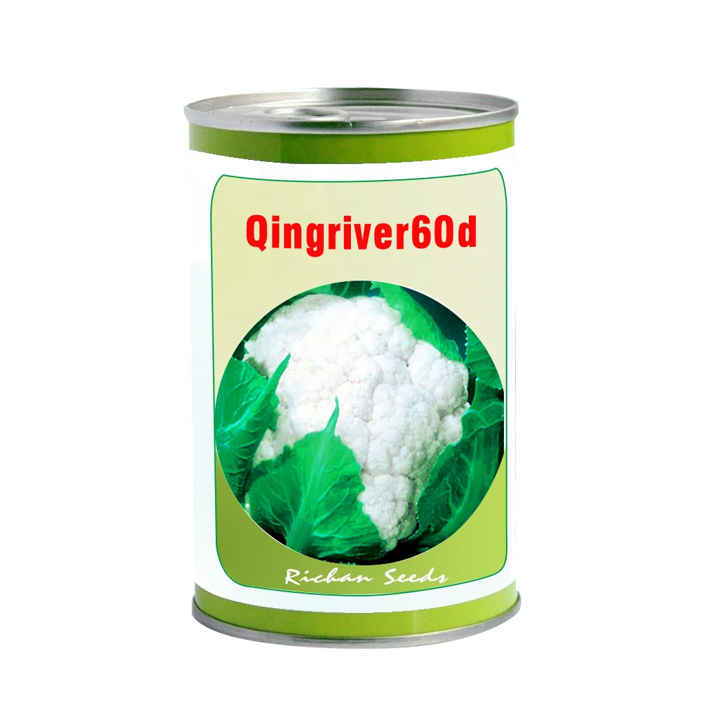 
F1 hybrid cauliflower seeds with hot resistance high yield storage resistance choosen vegetable seeds 