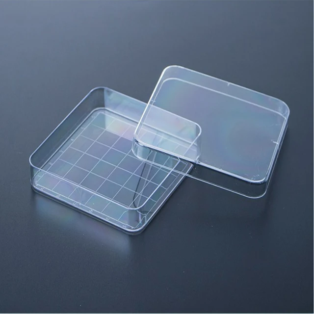 disposable cell culture dish transparent 90mm petri dishes for lab