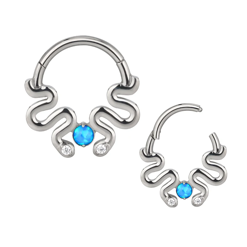 Hot Sale Ready To Ship Titanium Body Piercing Jewelry Hinged Segment Ring Different Shape Nose Ring Helix Earring
